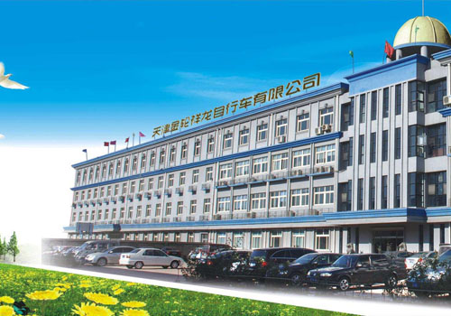 中國(guó)金輪集團(tuán)